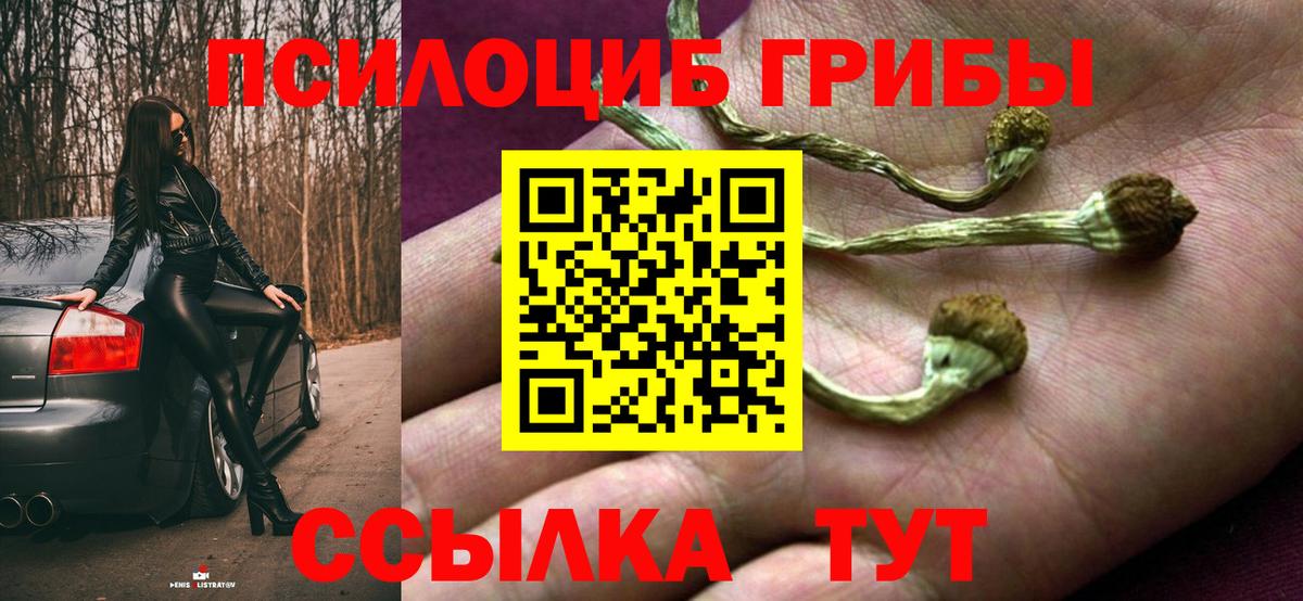 Новоалександровск  Галлюциногенные грибы Cubensis  Вход с VPN 