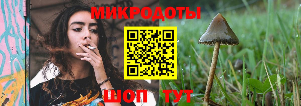 Псилоцибиновые грибы ЛСД Новоалександровск